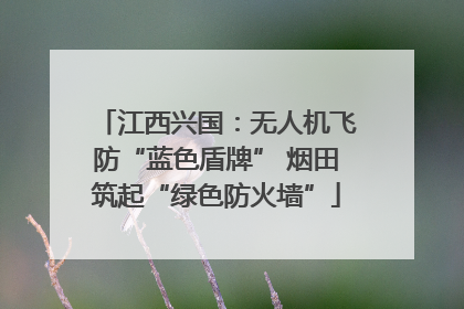 江西兴国：无人机飞防“蓝色盾牌” 烟田筑起“绿色防火墙”