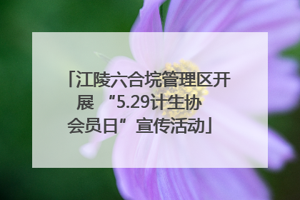 江陵六合垸管理区开展 “5.29计生协会员日”宣传活动