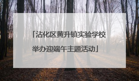 沾化区黄升镇实验学校举办迎端午主题活动
