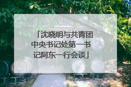 沈晓明与共青团中央书记处第一书记阿东一行会谈