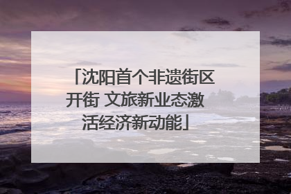 沈阳首个非遗街区开街 文旅新业态激活经济新动能