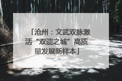 沧州：文武双脉激活“双遗之城”高质量发展新样本