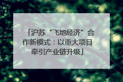沪苏“飞地经济”合作新模式：以重大项目牵引产业链升级