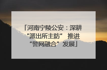 河南宁陵公安：深耕“派出所主防” 推进“警网融合”发展
