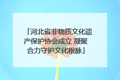 河北省非物质文化遗产保护协会成立 凝聚合力守护文化根脉