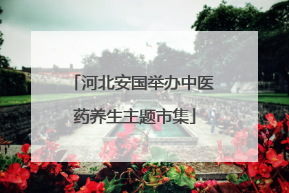河北安国举办中医药养生主题市集