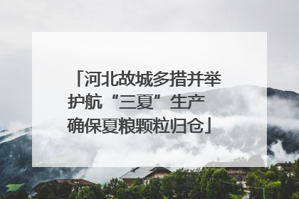 河北故城多措并举护航“三夏”生产 确保夏粮颗粒归仓