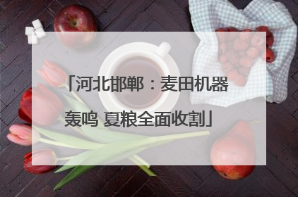 河北邯郸：麦田机器轰鸣 夏粮全面收割
