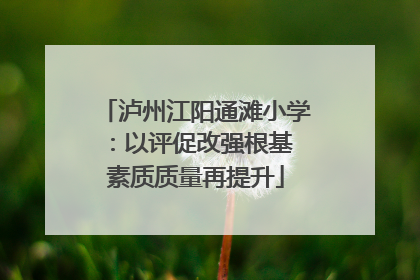 泸州江阳通滩小学：以评促改强根基 素质质量再提升