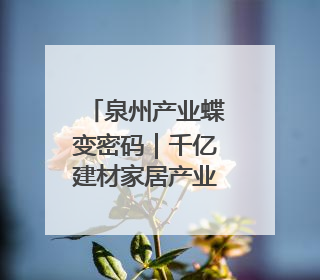 泉州产业蝶变密码｜千亿建材家居产业 抢抓AI变革机遇