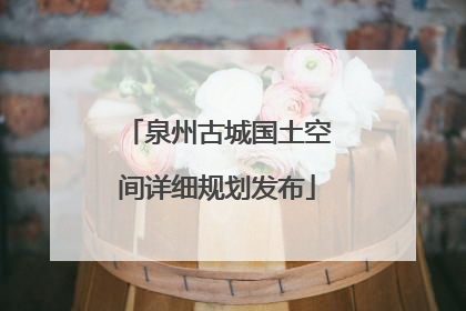 泉州古城国土空间详细规划发布