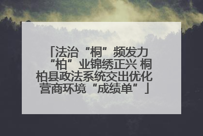 法治“桐”频发力 “柏”业锦绣正兴 桐柏县政法系统交出优化营商环境“成绩单”