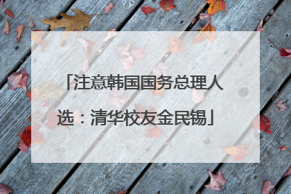 注意韩国国务总理人选：清华校友金民锡