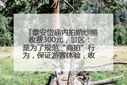 泰安岱庙内拍婚纱照收费300元，景区：是为了规范“商拍”行为，保证游客体验，收取费用全部上交国库
