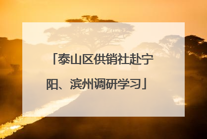 泰山区供销社赴宁阳、滨州调研学习