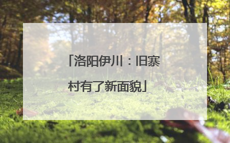 洛阳伊川：旧寨村有了新面貌