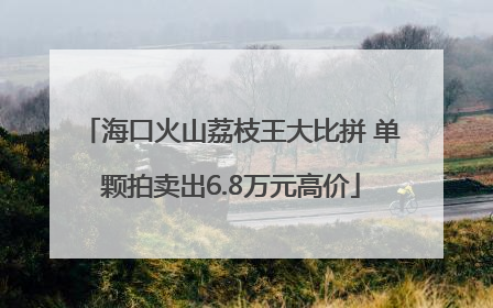 海口火山荔枝王大比拼 单颗拍卖出6.8万元高价