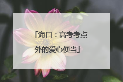 海口：高考考点外的爱心便当
