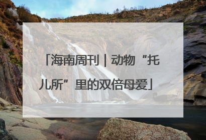 海南周刊｜动物“托儿所”里的双倍母爱