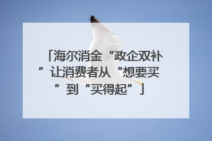 海尔消金“政企双补”让消费者从“想要买”到“买得起”