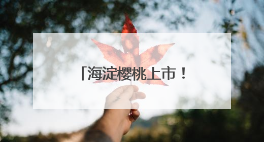 海淀樱桃上市！采摘游路线发布