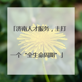 济南人才服务，主打一个“全生命周期”