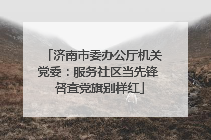 济南市委办公厅机关党委：服务社区当先锋 督查党旗别样红