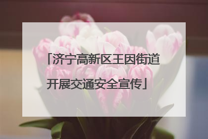 济宁高新区王因街道开展交通安全宣传