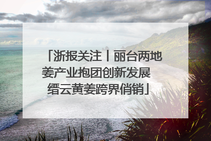 浙报关注丨丽台两地姜产业抱团创新发展 缙云黄姜跨界俏销
