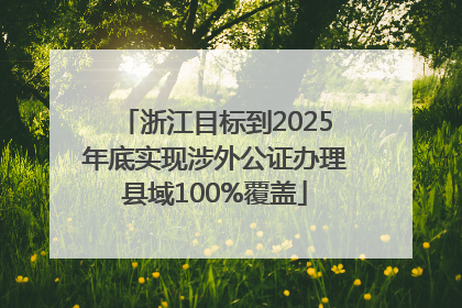 浙江目标到2025年底实现涉外公证办理县域100%覆盖