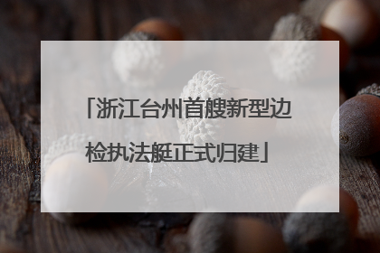 浙江台州首艘新型边检执法艇正式归建