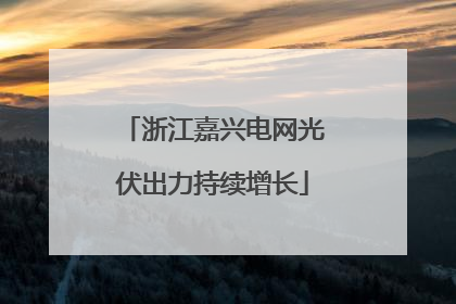 浙江嘉兴电网光伏出力持续增长