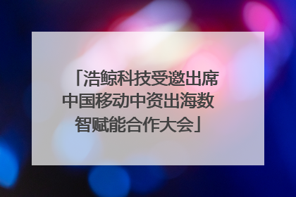 浩鲸科技受邀出席中国移动中资出海数智赋能合作大会