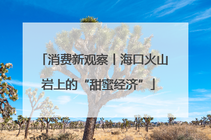 消费新观察丨海口火山岩上的“甜蜜经济”