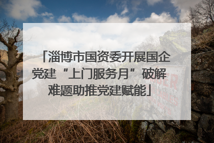 淄博市国资委开展国企党建“上门服务月”破解难题助推党建赋能