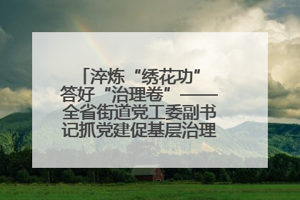 淬炼“绣花功” 答好“治理卷”——全省街道党工委副书记抓党建促基层治理培训示范班侧记