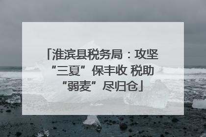淮滨县税务局：攻坚“三夏”保丰收 税助“弱麦”尽归仓