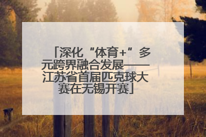 深化“体育+”多元跨界融合发展——江苏省首届匹克球大赛在无锡开赛