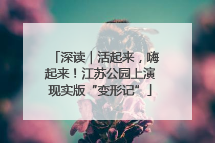 深读｜活起来，嗨起来！江苏公园上演现实版“变形记”