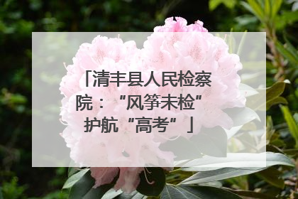 清丰县人民检察院：“风筝未检”护航“高考”