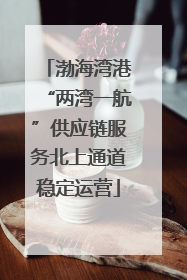 渤海湾港“两湾一航”供应链服务北上通道稳定运营