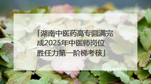 湖南中医药高专圆满完成2025年中医师岗位胜任力第一阶梯考核