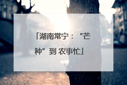 湖南常宁：“芒种”到 农事忙