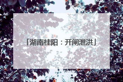 湖南桂阳：开闸泄洪