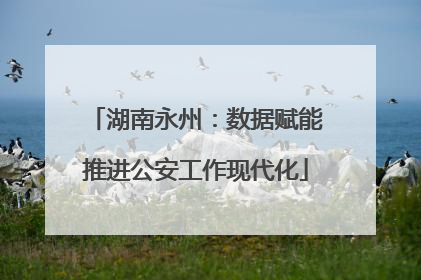 湖南永州：数据赋能推进公安工作现代化