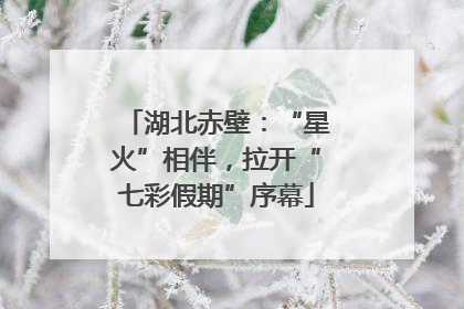 湖北赤壁：“星火”相伴，拉开“七彩假期”序幕