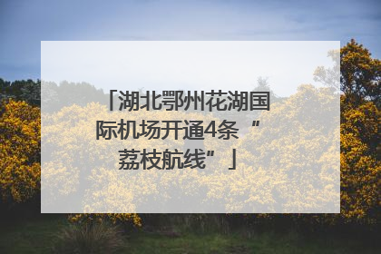 湖北鄂州花湖国际机场开通4条“荔枝航线”