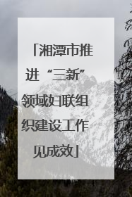 湘潭市推进“三新”领域妇联组织建设工作见成效