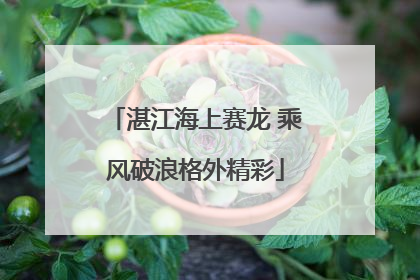 湛江海上赛龙 乘风破浪格外精彩