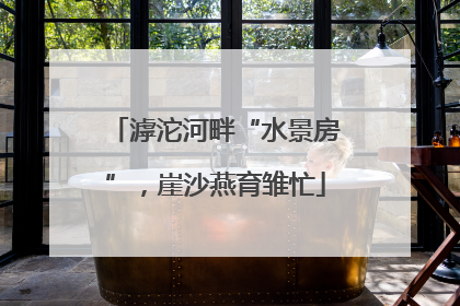滹沱河畔“水景房”，崖沙燕育雏忙